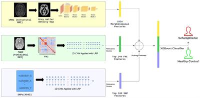 Multi-modal deep learning from imaging genomic data for schizophrenia classification